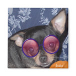 Adorable Cute Suzie Doozie Chihuahua Magnet