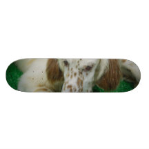 Adorable English Setter Skateboard