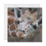 Adorable Giraffe Invitations