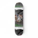 Adorable Giraffe Skateboard