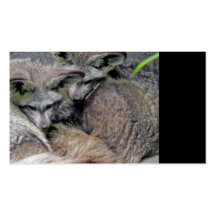 Adorable In Love Foxes Business Cards