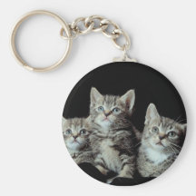 Adorable Kittens Key Chains