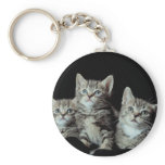 Adorable Kittens Key Chains