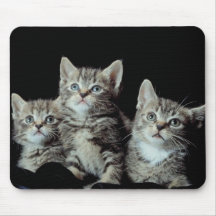 Adorable Kittens Mousepads