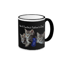 Adorable Kittens With Unbelievable Blue Eyes mugs