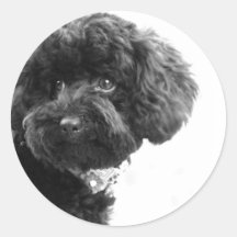 Adorable Loving Friend Round Sticker