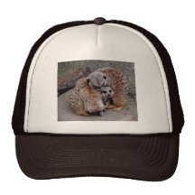 Adorable Meerkats Bundle of Fur Nature Photo Trucker Hat