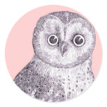 Adorable Owl - Spotted or Barred Owl Antique Print Round Stickers