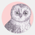 Adorable Owl - Spotted or Barred Owl Antique Print Round Stickers