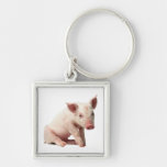 Adorable Piglet Keychain