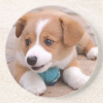 Adorable Puppy coasters