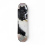 Adorable Puppy On The Ground Skate Board Deck