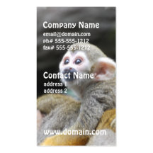 Adorable Squirrel Monkey  Business Cards