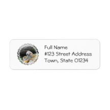 Adorable Squirrel Monkey  Mailing Labels