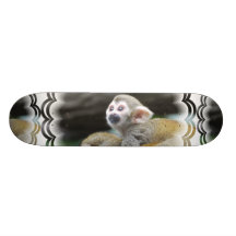 Adorable Squirrel Monkey  Skateboard