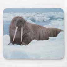 Adorable Walrus Mousepads