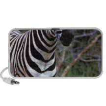 Adorable Zebra Speaker