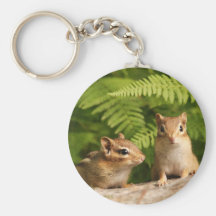 Adorably Curious Baby Chipmunks Key Chains