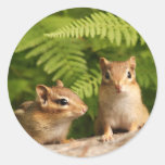 Adorably Curious Baby Chipmunks Round Sticker