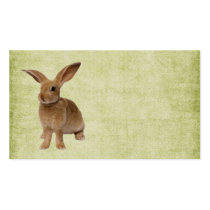 Adorably Cute- Floppy Bunny-Blank Business Card Templates