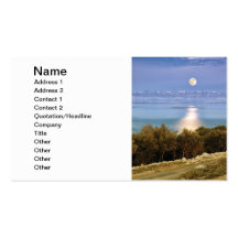 Adriatic Moon Business Card