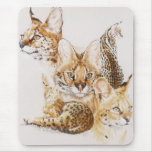 Adroit mousepads