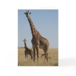 Adult & Baby giraffe Greeting Cards