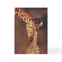 Adult Giraffe with calf (Giraffa camelopardalis) Greeting Cards