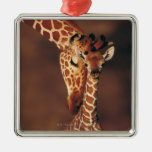 Adult Giraffe with calf (Giraffa camelopardalis) Christmas Ornament