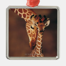 Adult Giraffe with calf (Giraffa camelopardalis) Christmas Ornament