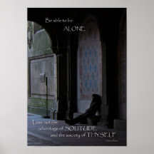 Advantage of Solitude Photo Poster Print