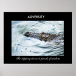 Adversity Poster
