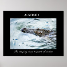 Adversity Poster