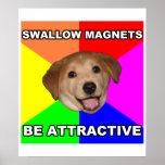 Advice Dog Swallow Magnets