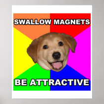 Advice Dog Swallow Magnets
