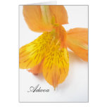 Adwoa Greeting Card