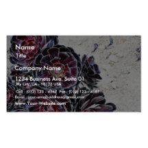 Aeonium Flower On Dry Rocks Business Card Templates