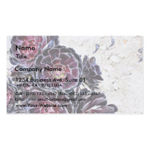 Aeonium Flower On Dry Rocks Business Cards