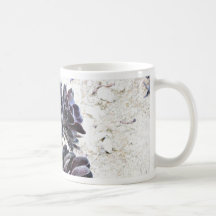 Aeonium Flower On Dry Rocks Coffee Mug