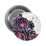 Aeonium Flower On Dry Rocks Pinback Button