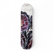 Aeonium Flower On Dry Rocks Custom Skateboard