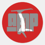 Aerial freestyle skiing stickers