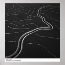 Aerial, Sacramento Valley, Rice fields May, 1966 Print