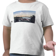 Aerial View of the Town and Nederland Lake T Shirt