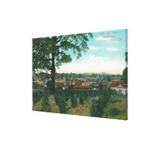 Aerial View of the TownSebastopol, CA Canvas Prints