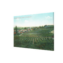 Aerial View of Town, Sonoma County from the Hill Stretched Canvas Prints