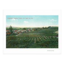 Aerial View of Town, Sonoma County from the Hill Postcards