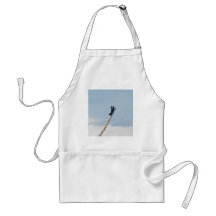 Aerobatic Biplane Aprons