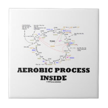 Aerobic Process Inside (Krebs Cycle) Ceramic Tiles