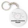 Aerobic Process Inside (Krebs Cycle)